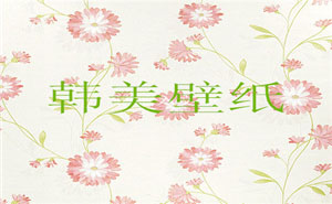 韩美壁纸